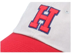 Hollywood Stars Ballpark Grey & Red Dad Cap - American Needle -American Needle 7986985625588 5
