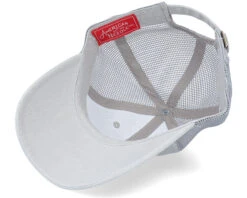 Texas Raglan Bones Chrome Trucker - American Needle -American Needle 7986987879996 4