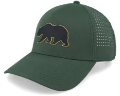 Cali Pacific Coast Dark Cedar Adjustable - American Needle