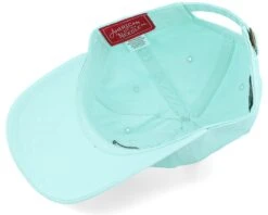 Seattle Kraken Blue Line Seafoam Dad Cap - American Needle -American Needle 798698798582 5