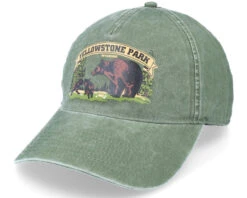 Yellowstone Trailhead Canopy Dad Cap - American Needle