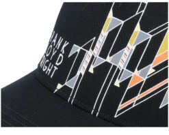 Frank Lloyd Wright Valin Black Adjustable - American Needle -American Needle 798698825998 6