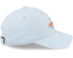 Woodstock Ballpark Ruisseau Dad Cap - American Needle -American Needle 798698831609 4