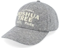 Joshua Tree Canopy Gray Adjustable - American Needle