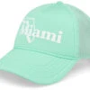 Miami Foamy Valin Seafoam Trucker - American Needle