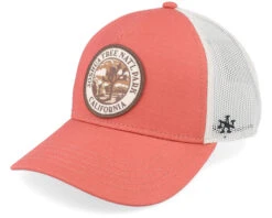 Joshua Tree National Park Valin Ivory Trucker - American Needle