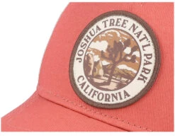 Joshua Tree National Park Valin Ivory Trucker - American Needle -American Needle 798698966615 6