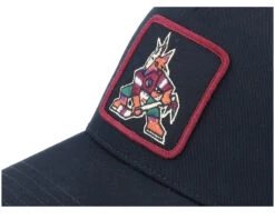 Arizona Coyotes Valin Black Trucker - American Needle -American Needle HS2216225 6