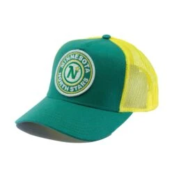 Minnesota North Stars American Needle NHL Valin Snapback Hat